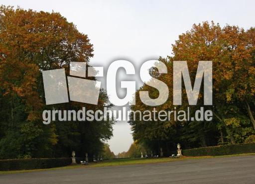 Herbststimmung-23-10-09 006.jpg